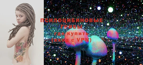 мет Алексин
