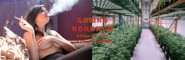 СК Зерноград