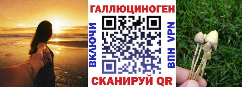 Галлюциногенные грибы MAGIC MUSHROOMS купить сайты Ефремов