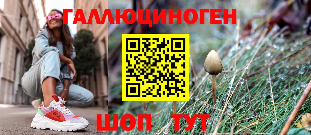 Галлюциногенные грибы Psilocybe  Вход с VPN  Ефремов 
