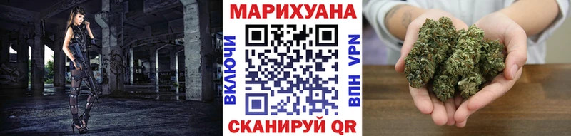 Канабис гибрид Ефремов